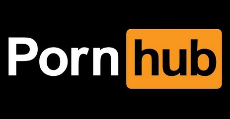 463px x 240px - How to Download Videos From Po*nHub - The Easy Way - Massive List of Niche  Porn Sites