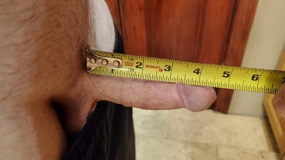 Pornstar Cock Sizes