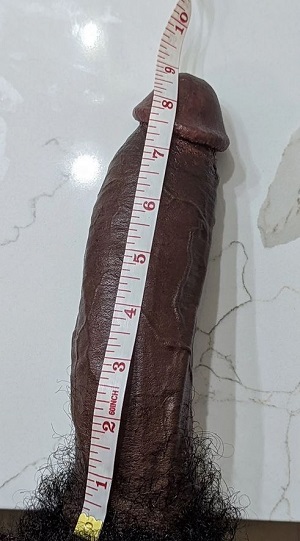 Sean Xavier cock length