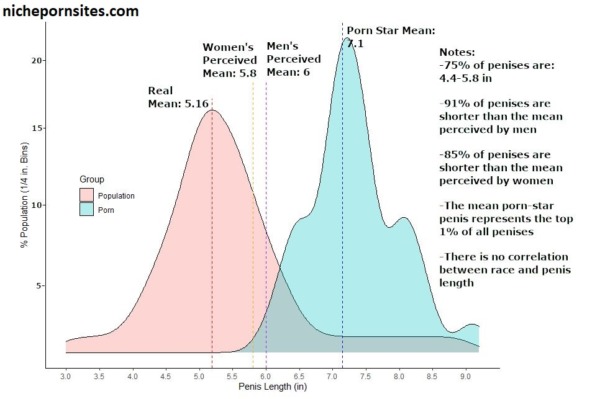 Some Facts About Penis Sizes Compared To Pornstars