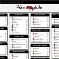 The Porn Data